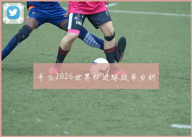 辛戈2026世界杯进球效率分析