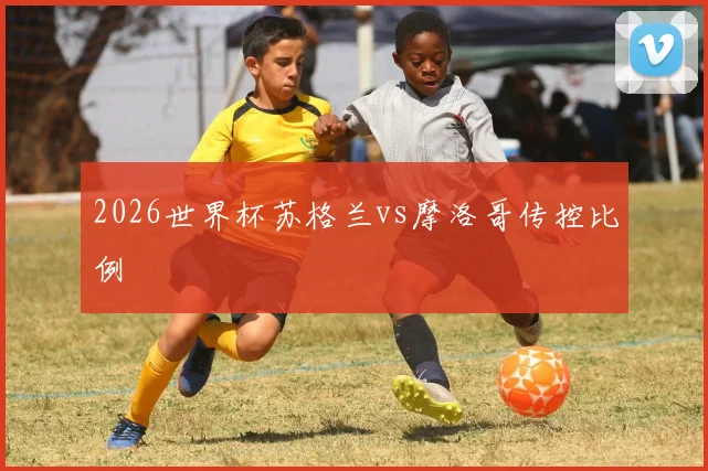 2026世界杯苏格兰vs摩洛哥传控比例