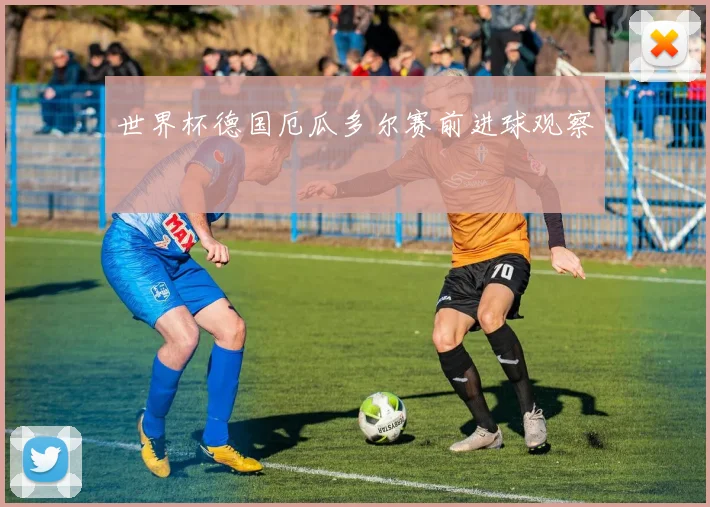 世界杯德国厄瓜多尔赛前进球观察