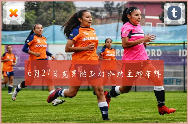 6月27日克罗地亚对加纳主帅布阵