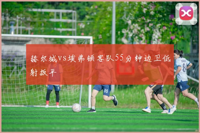 赫尔城vs埃弗顿客队55分钟边卫低射扳平
